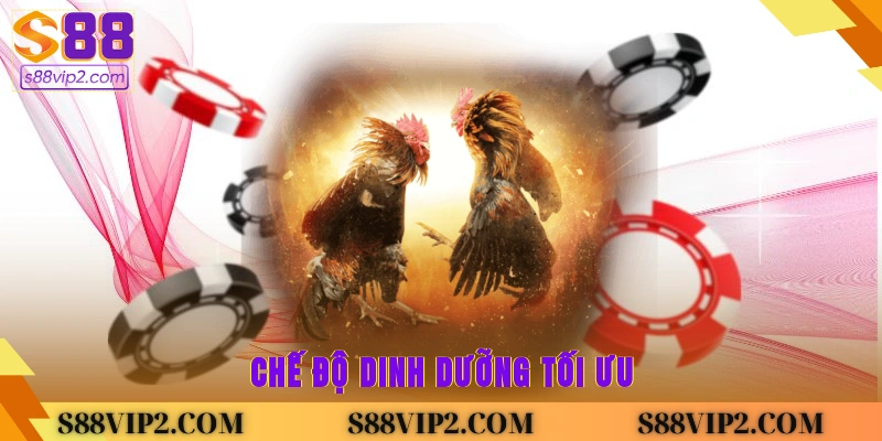 Chế độ dinh dưỡng tối ưu
