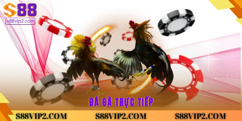 Đá gà trực tiếp