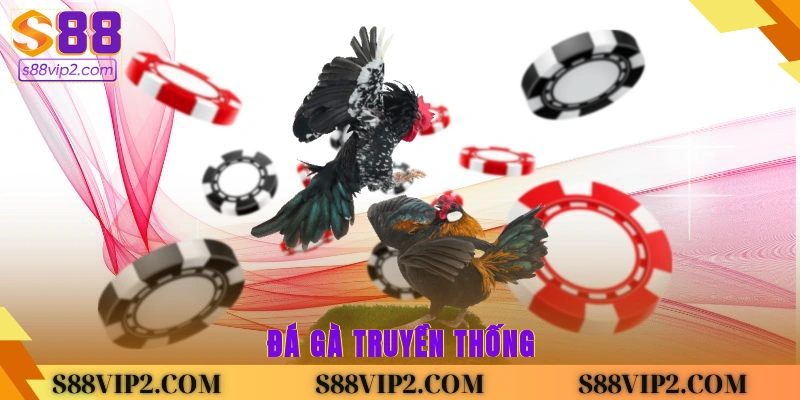 Đá gà truyền thống 