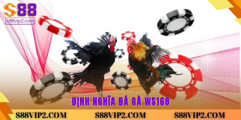Định nghĩa đá gà Ws168