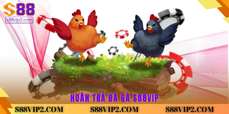 Hoàn trả đá gà S88vip