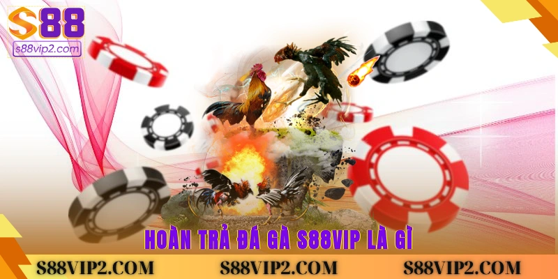 Hoàn trả đá gà S88vip là gì?