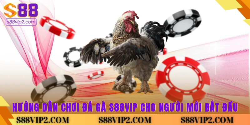 Hướng dẫn chơi đá gà S88vip cho người mới bắt đầu
