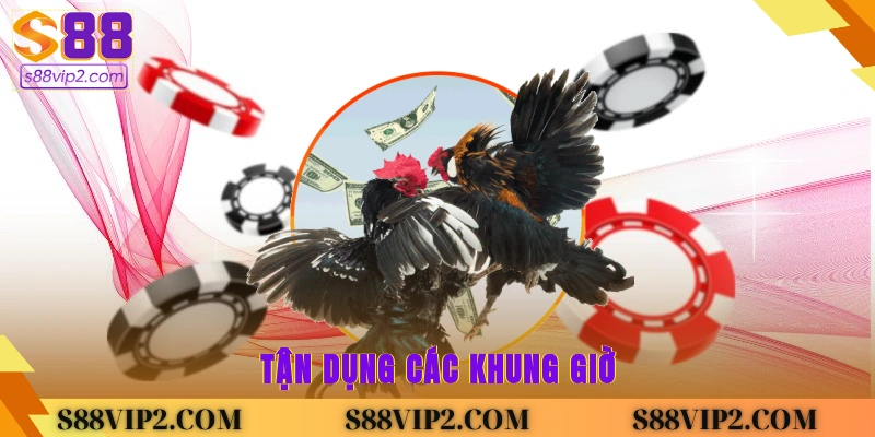 Tận dụng các khung giờ 